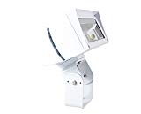 RAB Lighting FFLED39TW Future Flood 39W Cool LED Trunnion, White Review