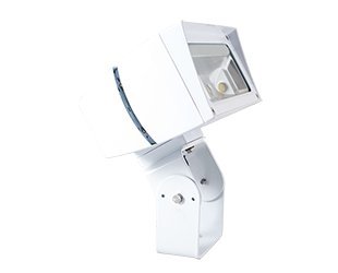 RAB Lighting FFLED39TW Future Flood 39W Cool LED Trunnion, White