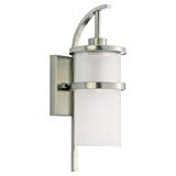 Sea Gull Lighting 88117-962 Outdoor Single-Light Wall Lantern, Brushed Nickel Finish For Sale Sea Gull Lighting 88117-962 Outdoor Single-Light Wall Lantern, Brushed Nickel Finish For Sale