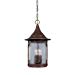 Designers Fountain 20934-CHN 11 Cast Hanging Lantern Canyon Lake