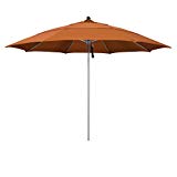 California Umbrella Stainless Steel Market Umbrella Review