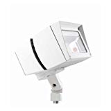 RAB Lighting FFLED39W Future Flood 39W Cool LED, 120V/277V, White