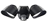 RAB Lighting Smsbullet2X12Na Two Adjustable 12W LED Floodlights, Bronze, Hardwired Review
