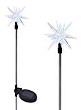 Set of 2 Color Changing Solar Powered Outdoor Starburst Stake Light