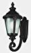 Trans Globe Lighting 5041 BK Outdoor Commons 25