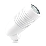 RAB Lighting LFLED5YW LFLOOD 5W WARM LED LANDSCAPE FLOOD LFLED WHITE, Review