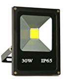 Cheap Trendmart® 30w Cold White Input Voltage Dc/ac 12v-24v Led Flood Light Outdoor Landscape Lamp (Black) (30 Watts)