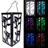 Cheap Outdoor Garden Hummingbird Lantern Color Changing/White Solar Light