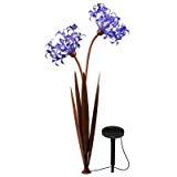 Solar LED Twin Head Agapanthus Decor Pathway Light Solar LED Twin Head Agapanthus Decor Pathway Light