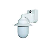Cheap Polymer Products 2120-S50701P-DD Incandescent Short Neck Wall Bracket Fixture with Dusk/Dawn Sensor, White