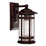 Cheap Capital Lighting 9951BB Outdoor Wall Fixture with Seeded Glass Shades, Burnished Bronze Finish
