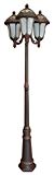 Cheap Special Lite Products Rose Garden F-2710-TRI-506-CP/AB Medium Tri Light Unit, Copper Cheap Special Lite Products Rose Garden F-2710-TRI-506-CP/AB Medium Tri Light Unit, Copper