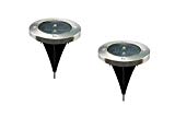 EZ Live Solar Powered Ground Light Outdoor Lights LED Lights Garden Yard Decor Set of 2pcs For Sale