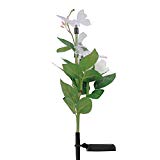 SAPPYWOON Outdoor Solar Flower Lights,Bird Butterfly Dragonfly Rose Flower Garden Stake Light, Multi-Color Changing LED Solar Powered Lights for Garden, Patio, Backyard Review