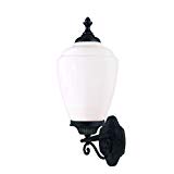 Acclaim 5361BK/WH Acorn Collection 1-Light Wall Mount Outdoor Light Fixture, Matte Black Review Acclaim 5361BK/WH Acorn Collection 1-Light Wall Mount Outdoor Light Fixture, Matte Black Review