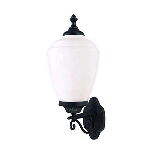 Acclaim 5361BK/WH Acorn Collection 1-Light Wall Mount Outdoor Light Fixture, Matte Black Review