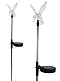 Stunning Acrylic Solar Hummingbird light stake (Box of 2) Review