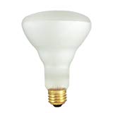 65W 120V Incandescent BR30 Indoor Reflector Flood Light Bulb in Clear (Pack of 2) [Set of 5]