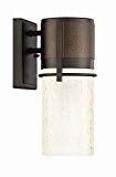 DF SmartPlus LED32911-VC-BBZ Smart Outdoor LED Wall Lantern, 1-Pack, Brushed Bronze DF SmartPlus LED32911-VC-BBZ Smart Outdoor LED Wall Lantern, 1-Pack, Brushed Bronze