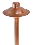 CS936S Professional Series Copper Path & Area Light