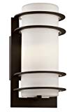 Trans Globe Lighting 40204 BK Outdoor Wall Light with White Glass Shade, Black Finished Review