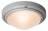 Oceanus – 12″dia Flush/Wall Mount – Satin Finish – Frosted Glass Shade Review