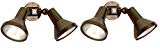 Cheap Nuvo Lighting SF77/495 Two Light Outdoor Heavy Duty Cast Aluminum Durable Weatherproof Security Flood Light, Bronze (2 Pack)