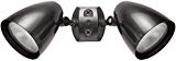 RAB Lighting HB2A HB1 Bell Shaped Dual Floodlight Kit, PAR38 Type, Aluminum, 300W Power, Bronze Color Review