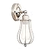 Permo Industrial Vintage Metal Wire Cage Wall Sconce Lighting Fixture Ceiling Mount Light (Brushed)