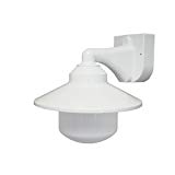 Cheap Polymer Products 2120-L56601A Incandescent Long Neck Wall Bracket Fixture, White Cheap Polymer Products 2120-L56601A Incandescent Long Neck Wall Bracket Fixture, White
