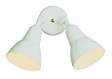 Cheap Transglobe Lighting 6002 RT Outdoor Pocket Light, Rust Finished