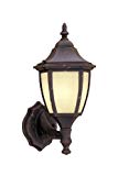 Designers Fountain ES2462-AM-AG Value Collection Wall Lanterns, Autumn Gold