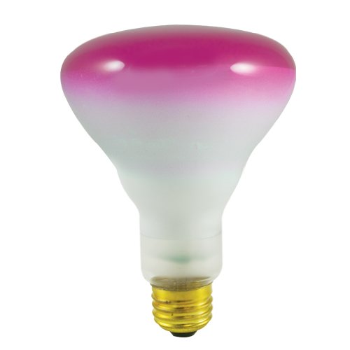 Bulbrite 246075 – 75W – BR30 Bulb Type – E26 Base – 120V – Pink Finish – 2,000Hrs – 1 Pack For Sale