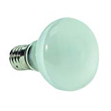 Cheap G E LIGHTING #25777 GE 40W R14 Spot Light