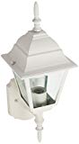 Acclaim 4001TW Builder’s Choice Collection 1-Light Wall Mount Outdoor Fixture, Textured White For Sale