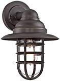 Marlowe 13 1/4″ High Bronze Hooded Cage Outdoor Wall Light Review