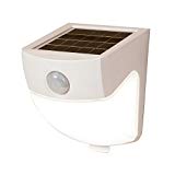 ALL-PRO Outdoor Security MSLED300W 300 lm Solar-Powered LED Wedge Light, 120 Degree motion, White