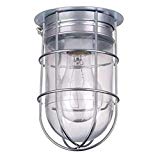 Light Ceiling Flush Mount LED Bulb Wall Barn Exterior with Cage Outdoor Cage Lighting Exterior