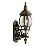 Transglobe Lighting 4050 BC Outdoor Wall Light with Beveled Glass Shade, Black Copper Finished For Sale