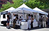Undercover Professional Grade 10’x10′ Aluminum Instant Canopy Review