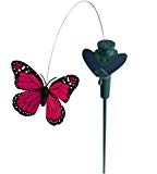 Solar Yard Stake Fluttering Insects, Solar or Battery Powered (Assorted Colors) (Butterfly) Review