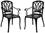 2 Cast Aluminum Dining Arm Chairs for Outdoor Patio Furniture WZ-170 Review