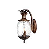 Acclaim 7502BC Lanai Collection 2-Light Wall Mount Outdoor Light Fixture, Black Coral Review