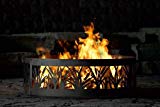 P&D Metal Works CFR00938 Fire Ring, Cattail Review