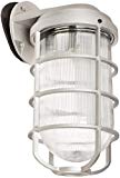 RAB Lighting VBR200DG/F22 Vaporproof Glass Globe Cast Guard Compact Fluorescent Fixtures with Wall Mount Bracket, Quad Type, Aluminum, 22W Power, 1200 Lumens, 120V, Natural Review