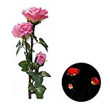 Cheap Rose Flower Solar Lights , Elstey Solar Powered Outdoor Waterproof Garden Lawn Balcony LED Lamps Landscape Decorative Illumination
