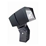 RAB Lighting FFLED39T Future Flood 39W Cool LED Trunnion, Bronze For Sale