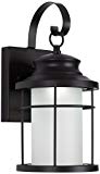 Warburton 13″ High Black LED Outdoor Wall Light