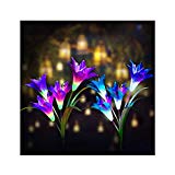 Digiroot Waterproof Outdoor Solar Garden Stake lights,2 Packs Solar Powered Garden Lights with 8 Lily Flower ,Multi-Color Changing LED Solar Stake Lights for Garden,Patio,Backyard Decor
