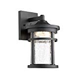 Emliviar 1-Light Outdoor Wall Lantern LED with Crackle Glass in Black Finish, 2085B BK